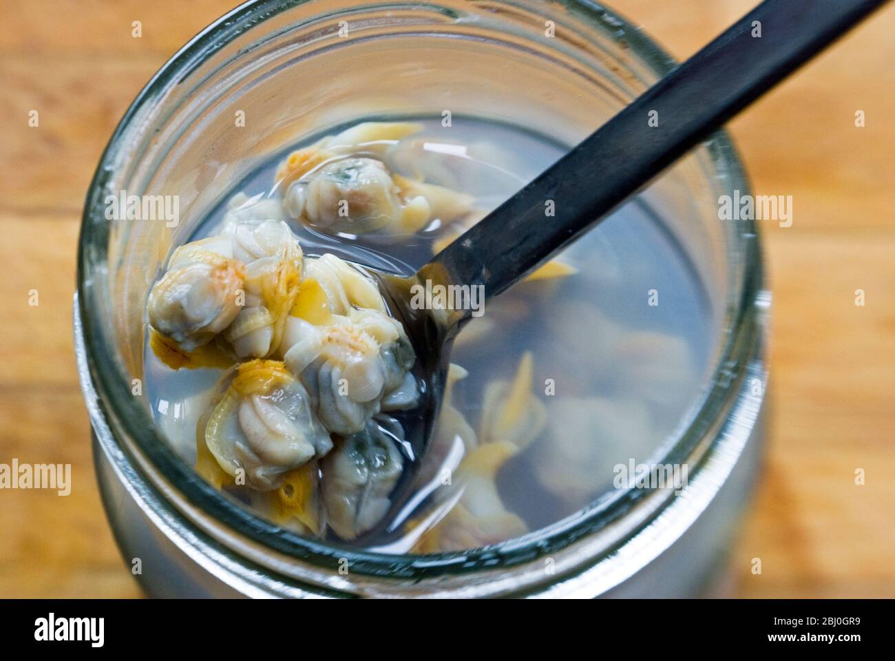 Lifting a spoonful of pickled cockles out of vinegar in a jar - Stock Photo
