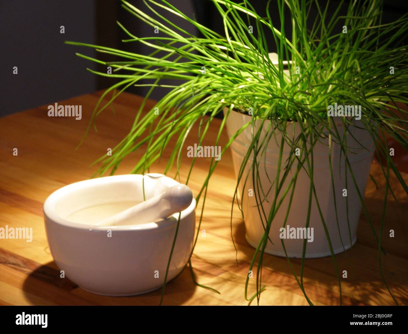 Brightly lit pot of chives on kitchen counter - Stock Photo