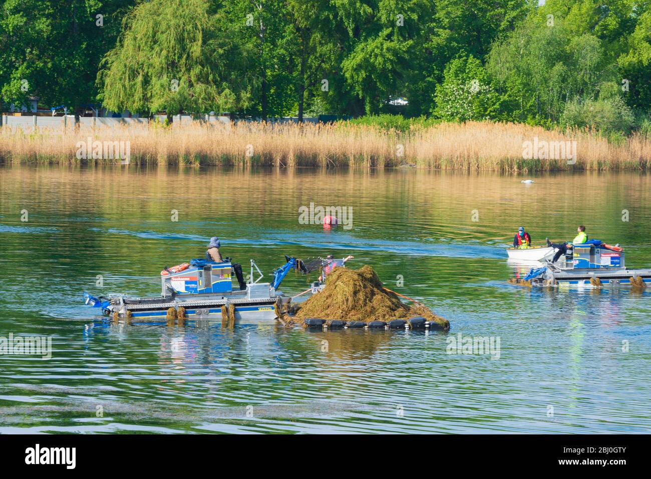 Wien, Vienna: water plants boat mower of Wiener Gewässer (Vienna waters service) at lake Alte Donau (Old Danube) -    In 2019, around 2,700 tons of aq Stock Photo