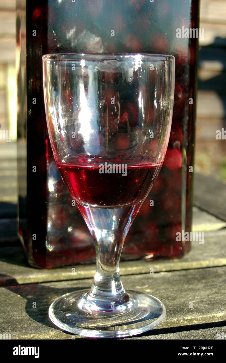 Glass of homemade sloe gin enjoyed outside in sunshine - Stock Photo