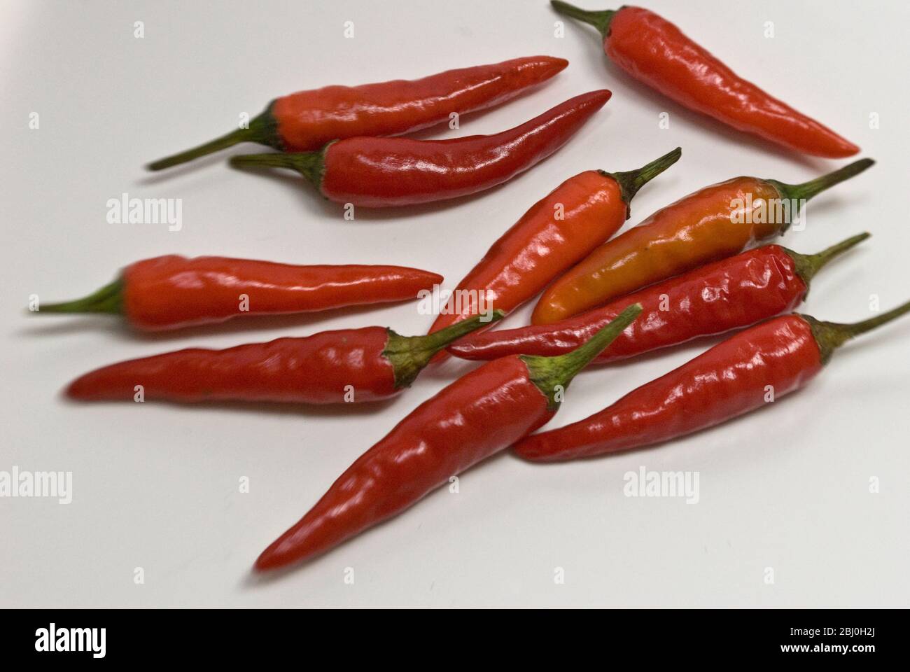 Small hot bird's eye chilli peppers arranged on white surface. - Stock Photo