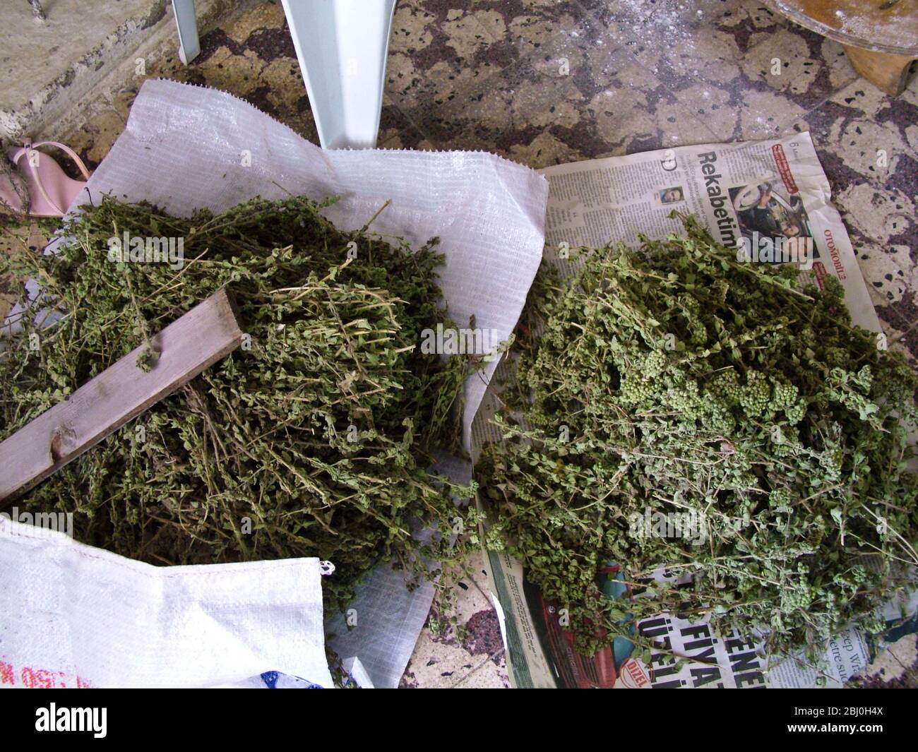 Dried herbs, thyme and oregano (?) in bakery in Selimiye, on the southern coast of Anatolia, Turkey - Stock Photo