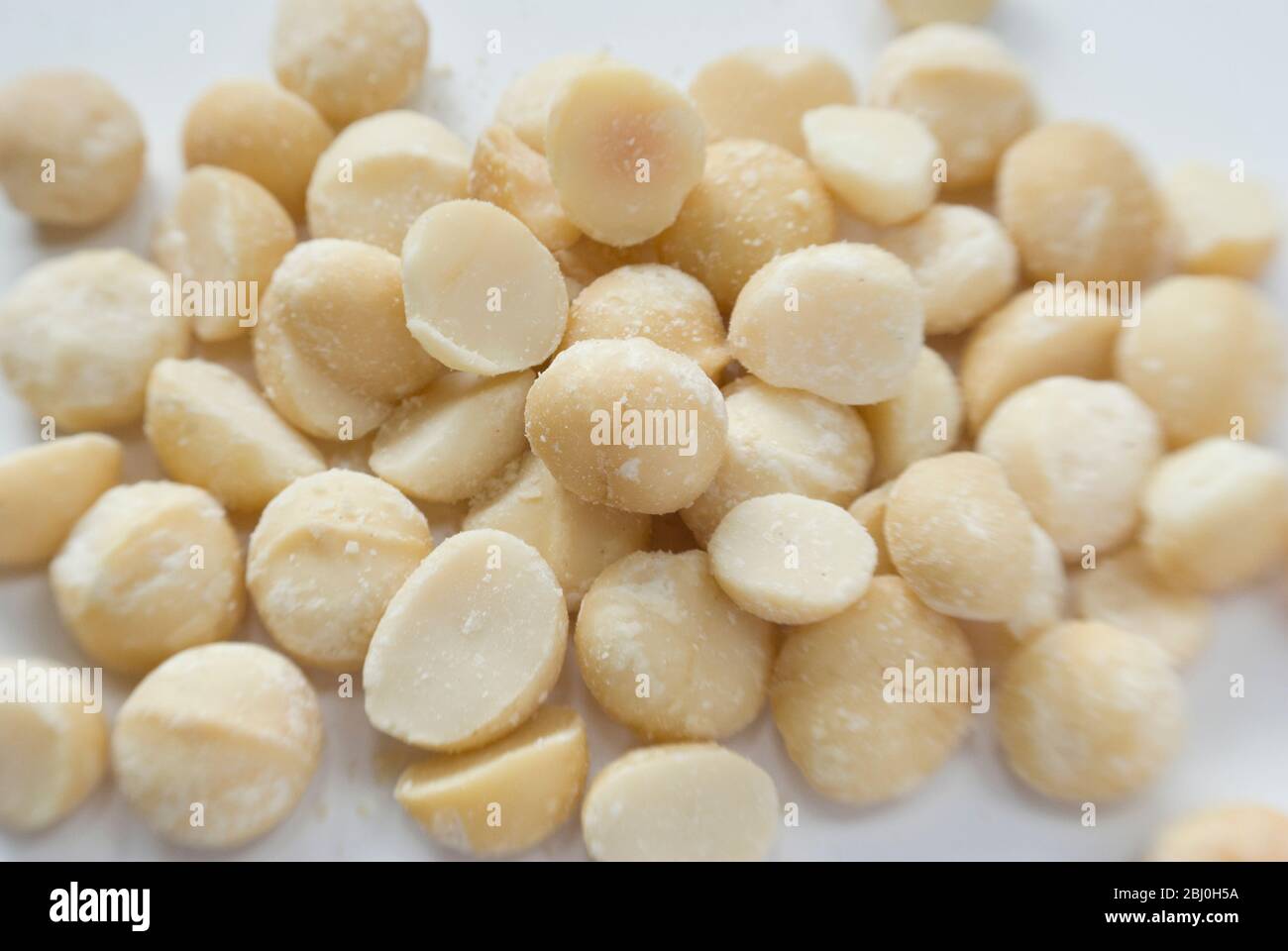 Shelled dry roasted macadamia nuts, on white surface - Stock Photo