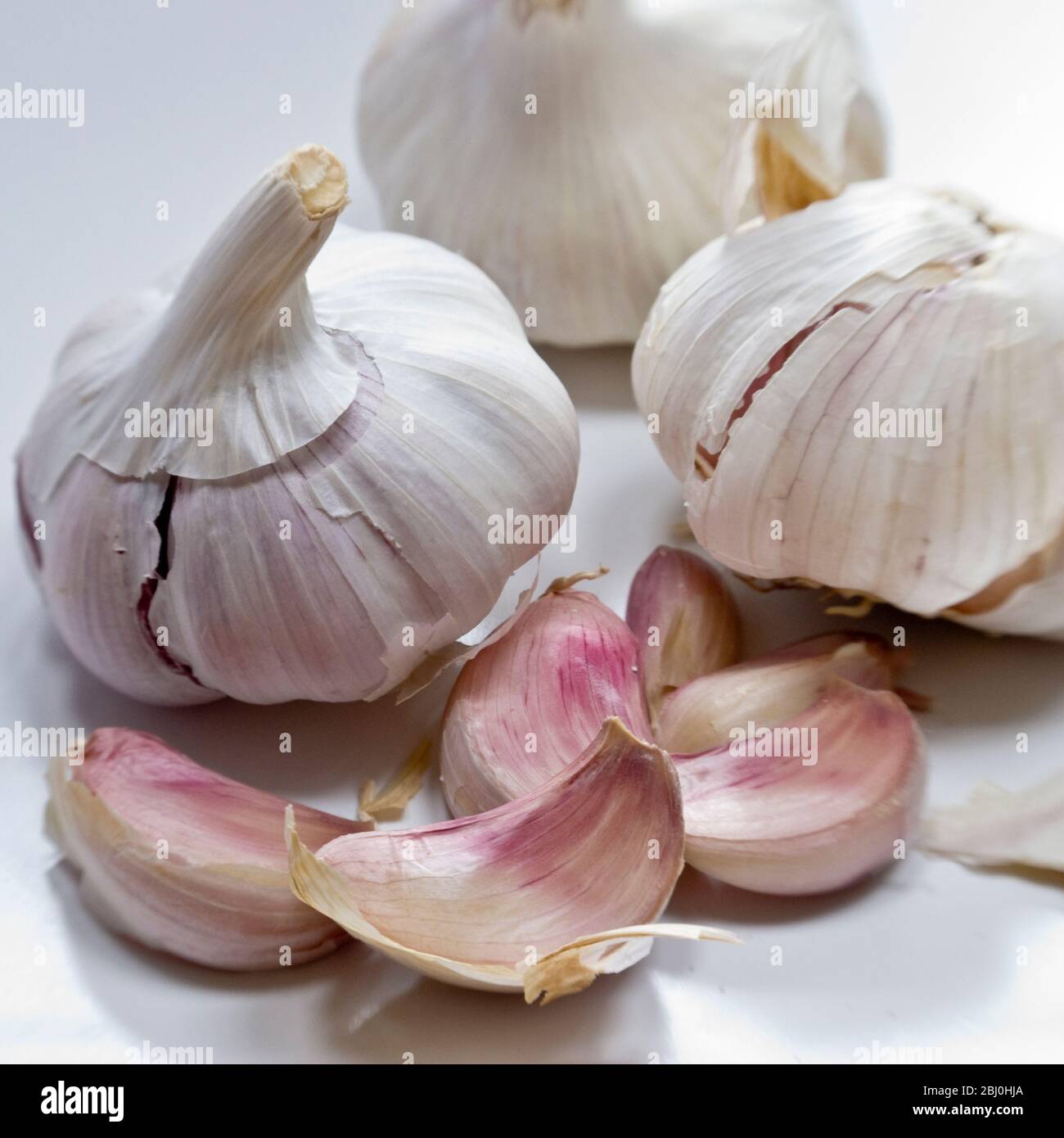 Garlic bulbs and cloves on white surface Stock Photo Alamy