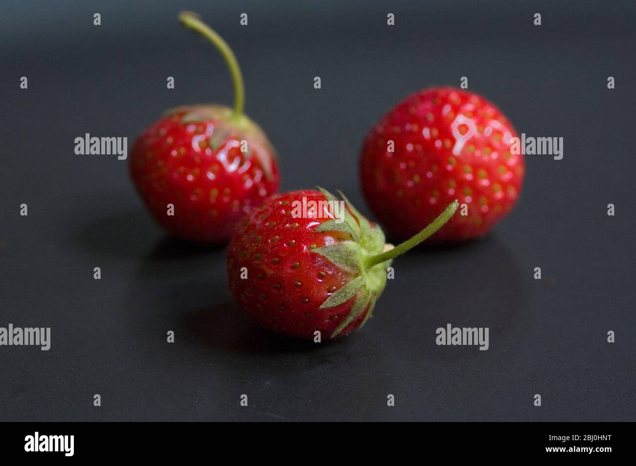 File:Wild strawberries on straw.jpg - Wikimedia Commons