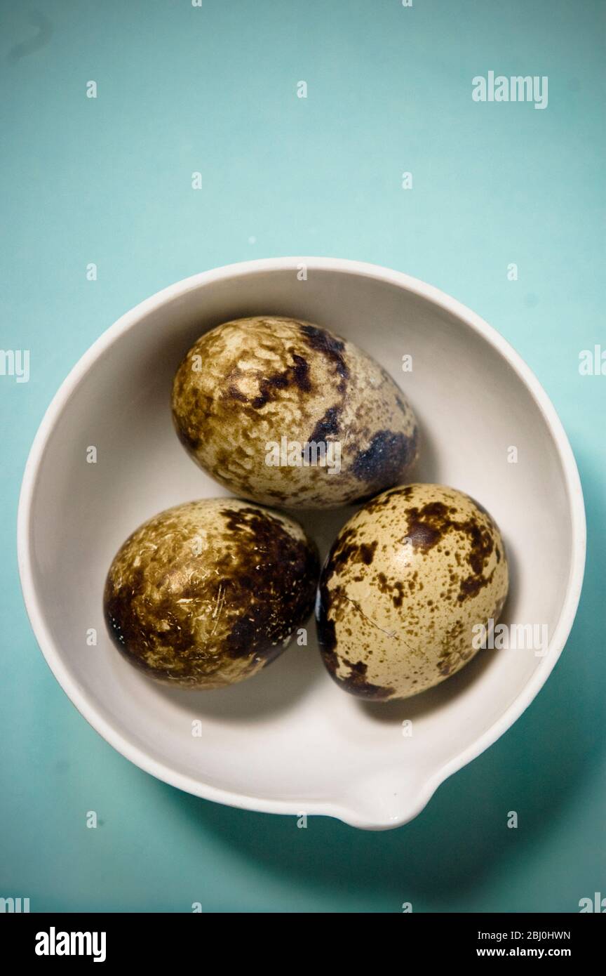 Three whole quail's eggs in small bowl on green blue surface - Stock Photo