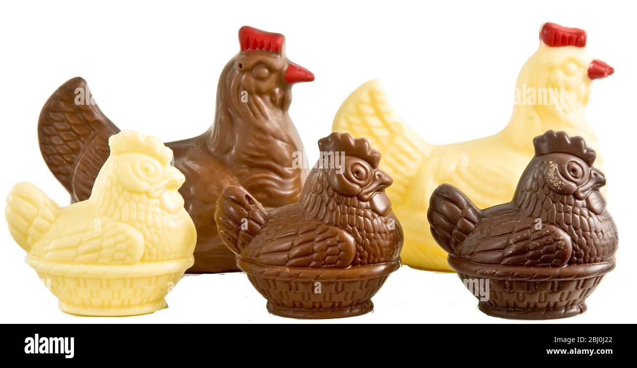 Chocolate chickens - Easter gift - Stock Photo