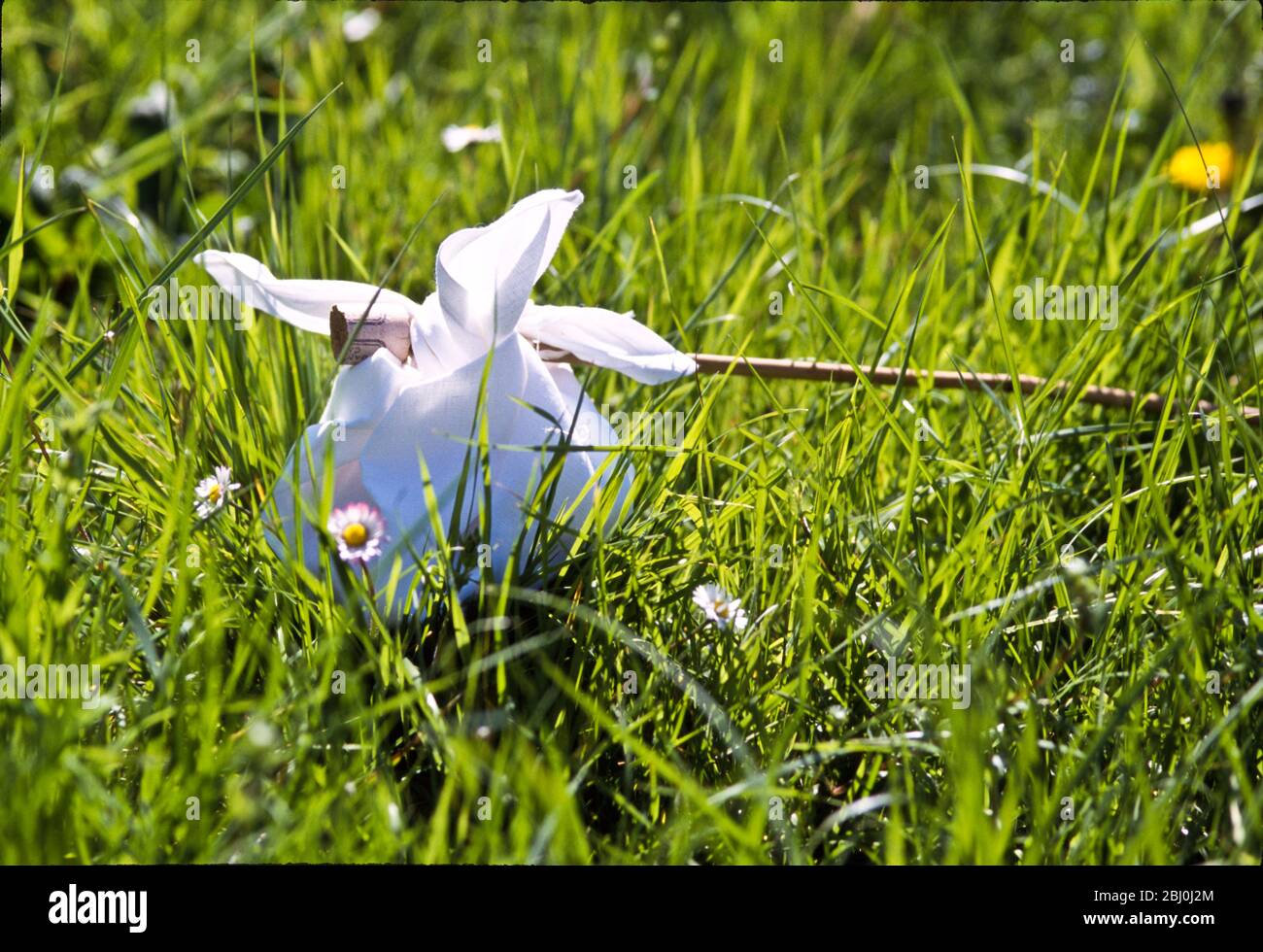 Picnic tied up in a handkerchief on a stick sitting in long grass with daisies and dandelions. - Stock Photo