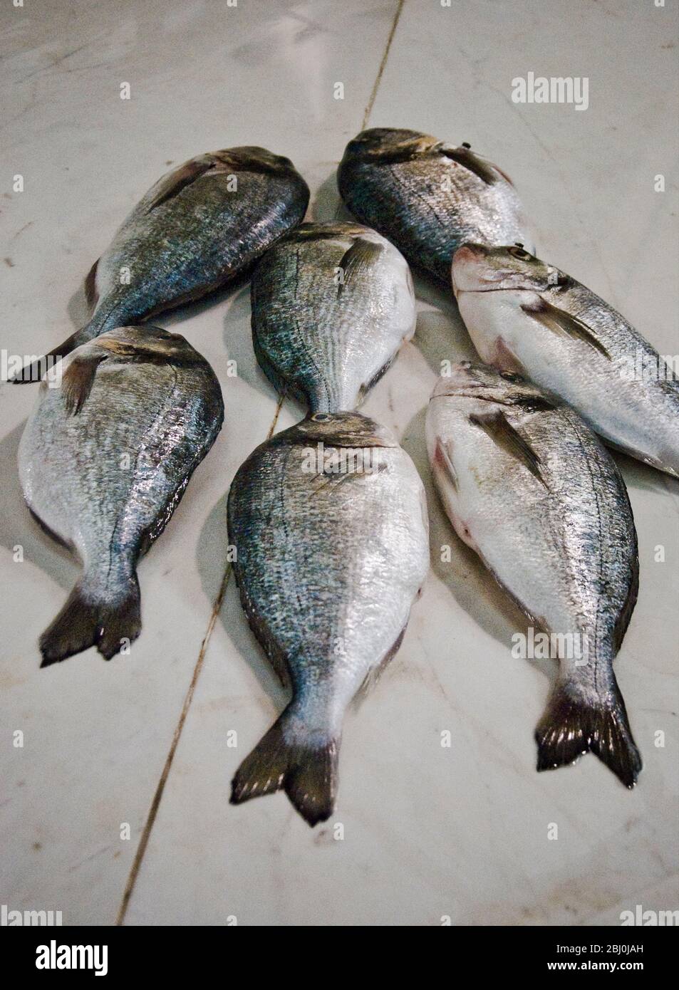 Fresh bream on slab of fishminger counter in covered market, Limassol, Cyprus - Stock Photo