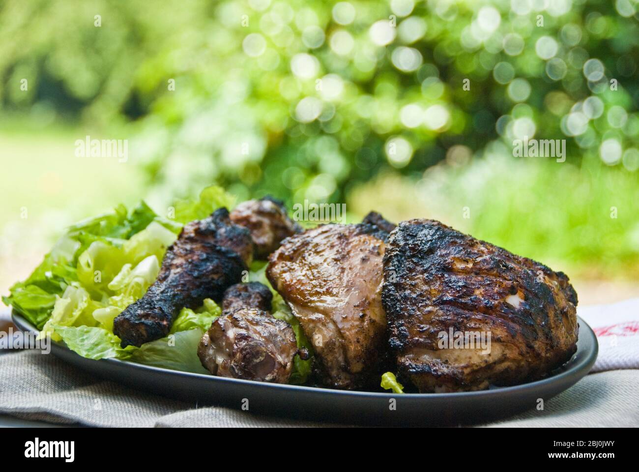 Chargrilled chicken legs on plater with salad outdoors - Stock Photo