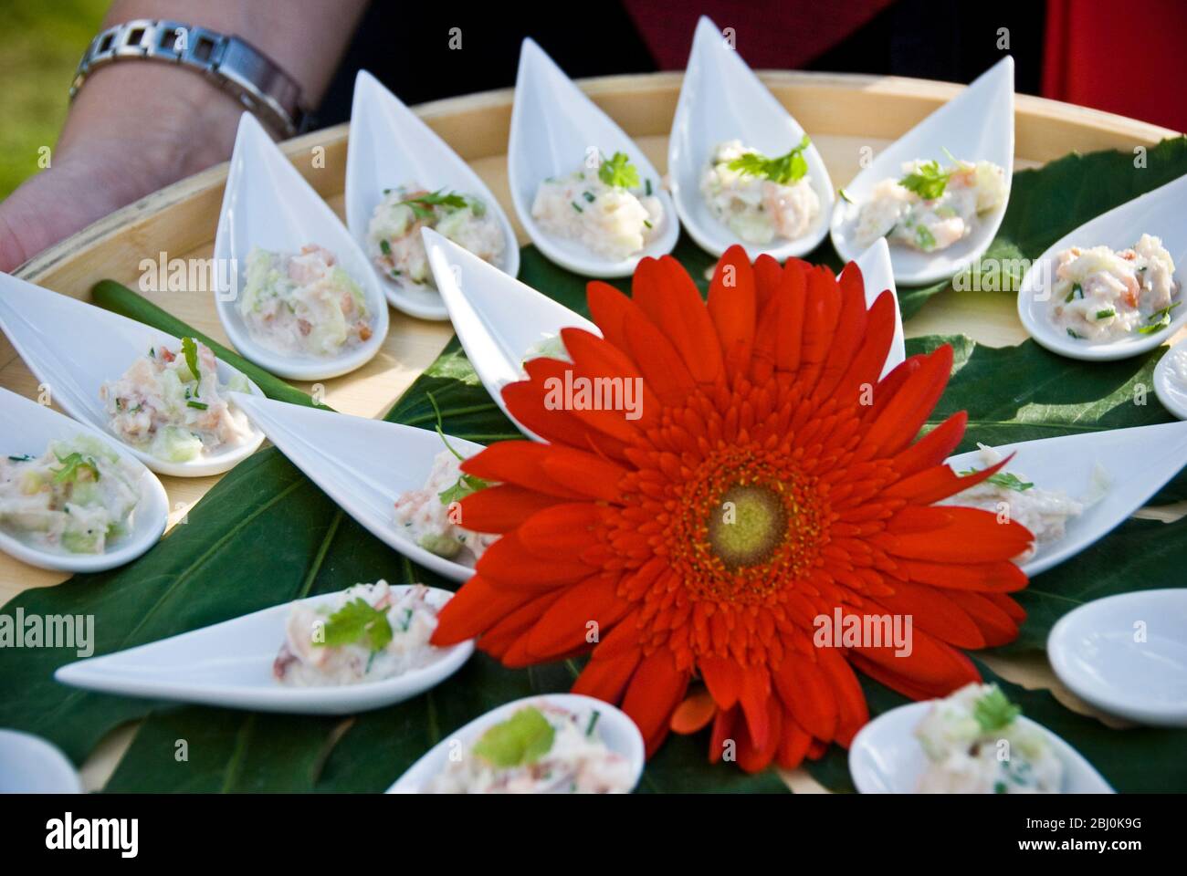 Serving platter of canapes in little porcelain spoons at summer wedding Stock Photo