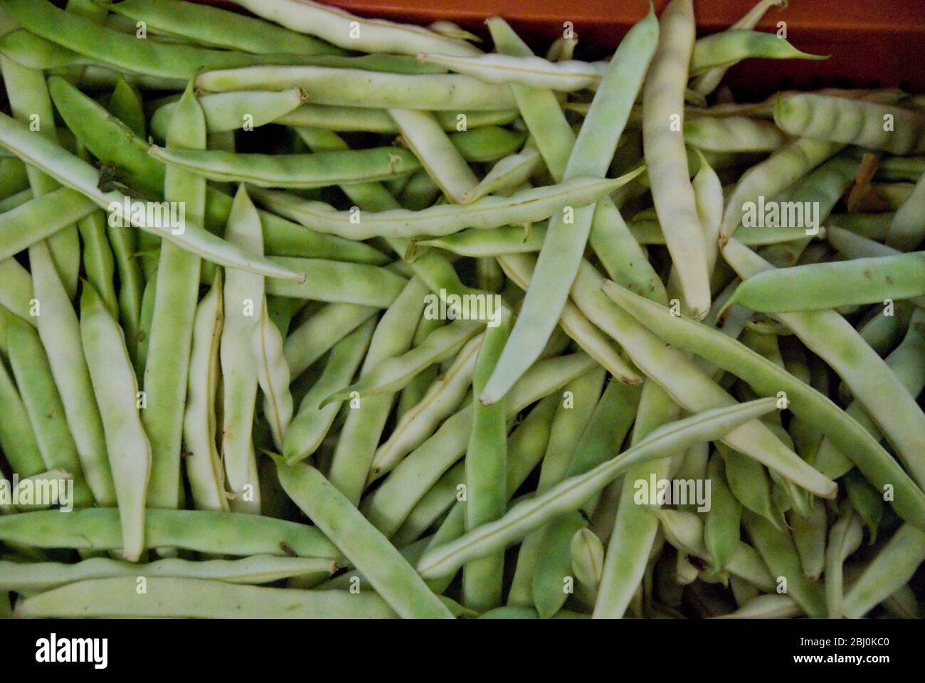 Green beans on a stall in the covered market in Limassol, Cyprus - Stock Photo