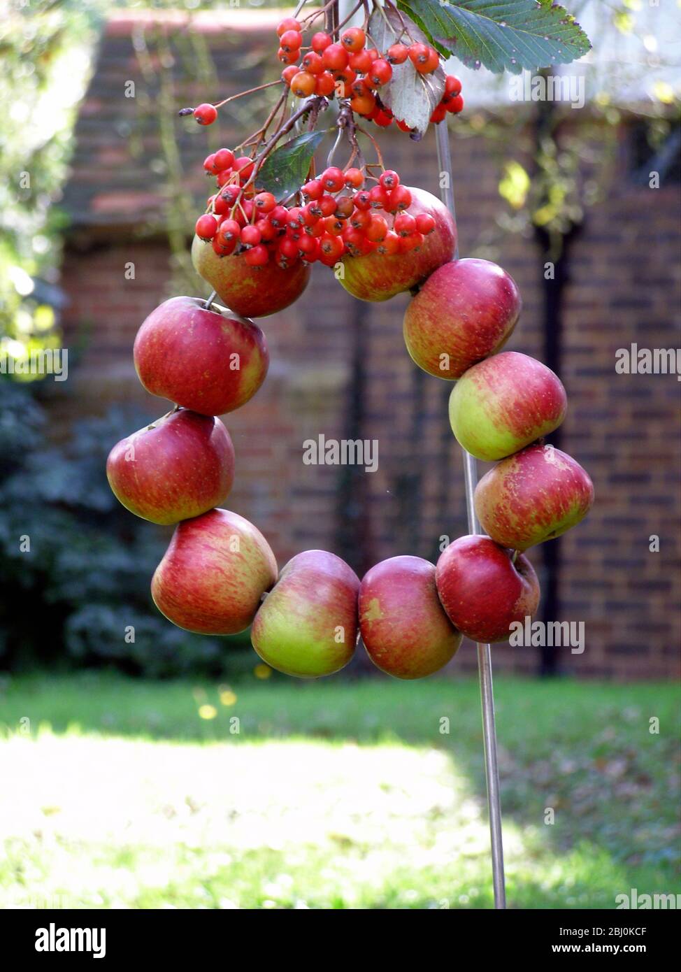 Harvest wreath of red apples strung on wire into a circle and decorated with bunches of berries , in country churchyard. Part of a flower festival Stock Photo