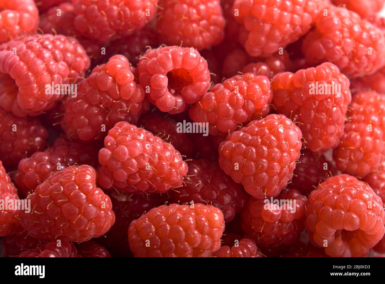 Fresh whole raspberries Stock Photo - Alamy