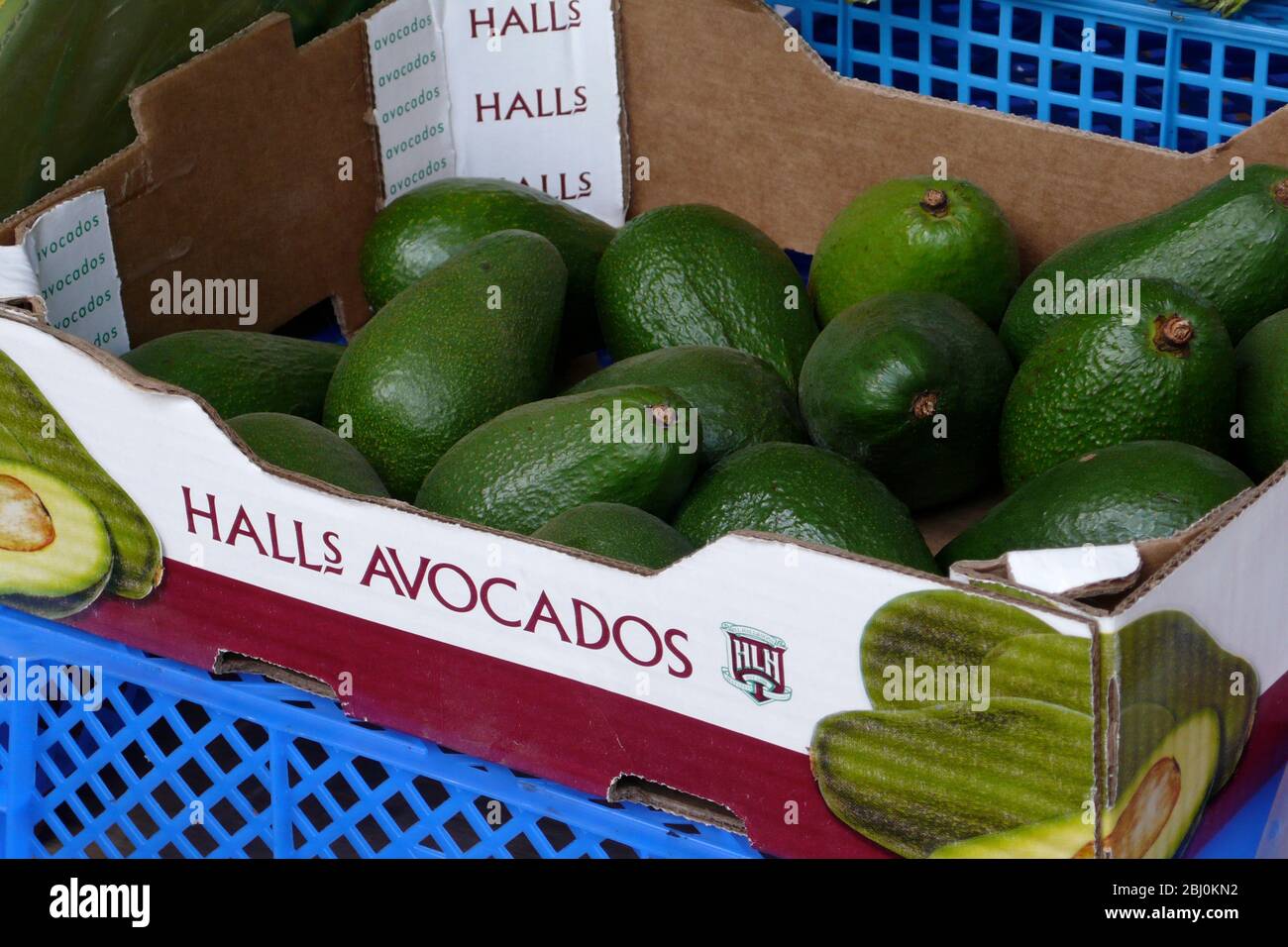 Box of fuerte avocados from Halls, in South Africa for sale in Edenbridge, Kent - Stock Photo