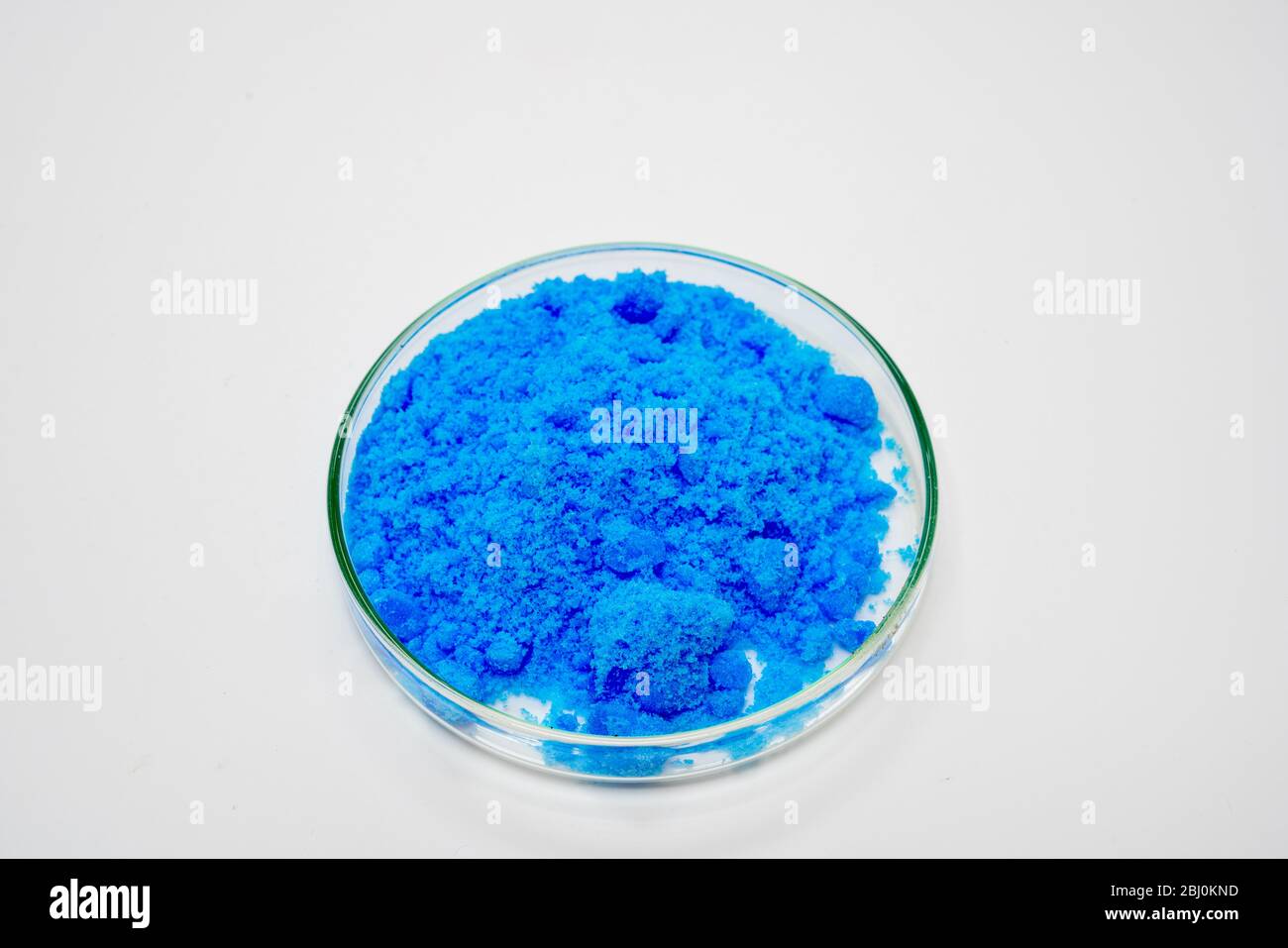 copper sulphate chemical substance in petri dish on white background Stock Photo