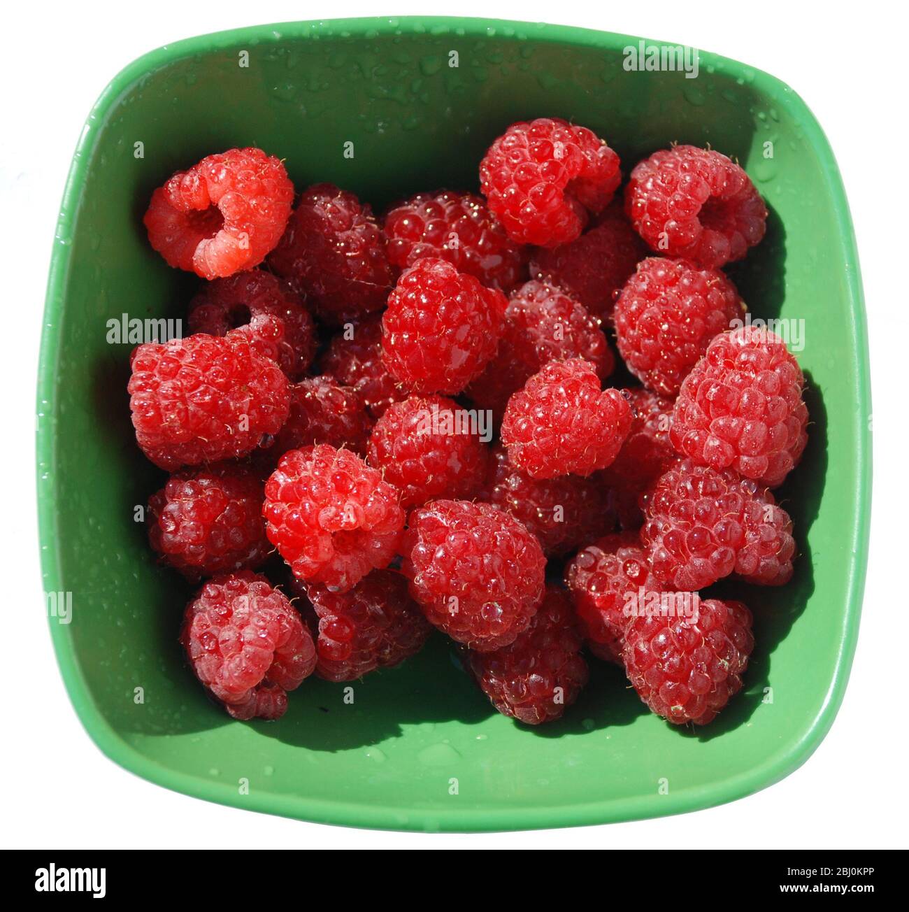 Italian raspberries picked straight from the plant, washed and ready to ...