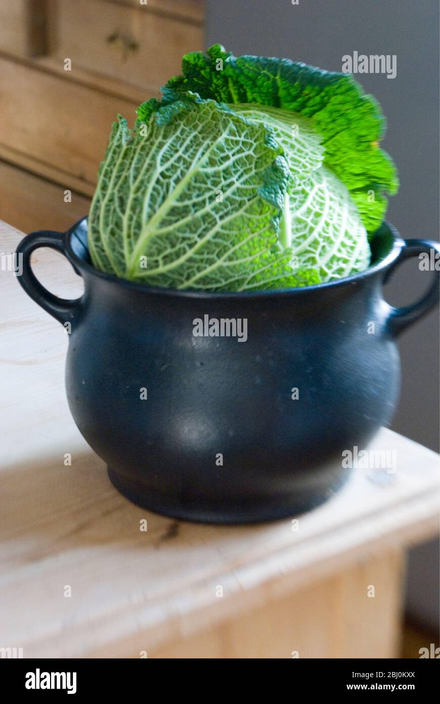 Cabbage sitting in iron cooking pot in kitchen - Stock Photo