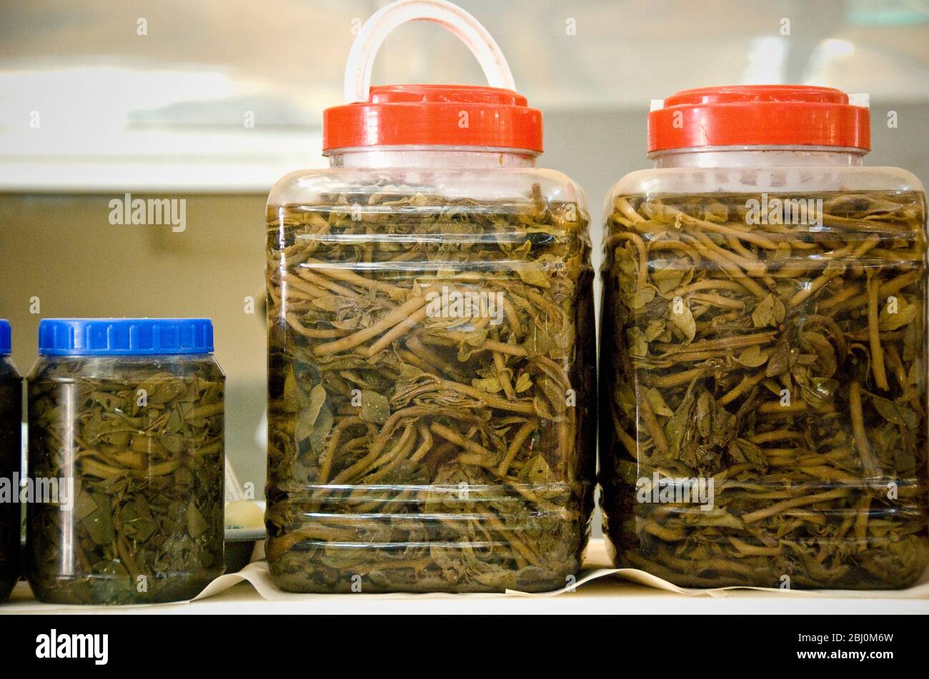 Pickled wild caper plants for sale in covered market in Limassol - Stock Photo