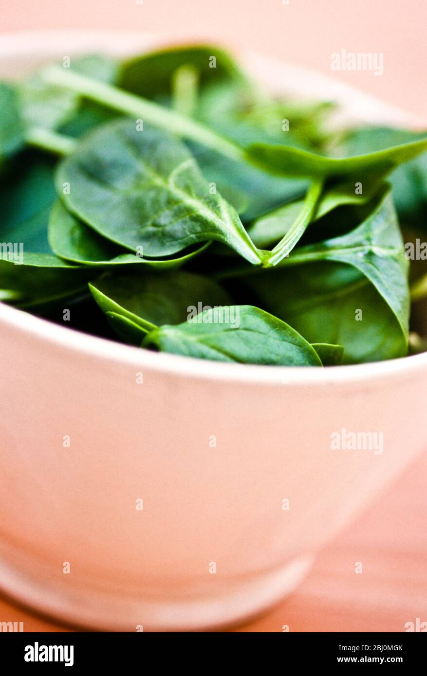 Bowl of fresh green baby spinach leaves - Stock Photo