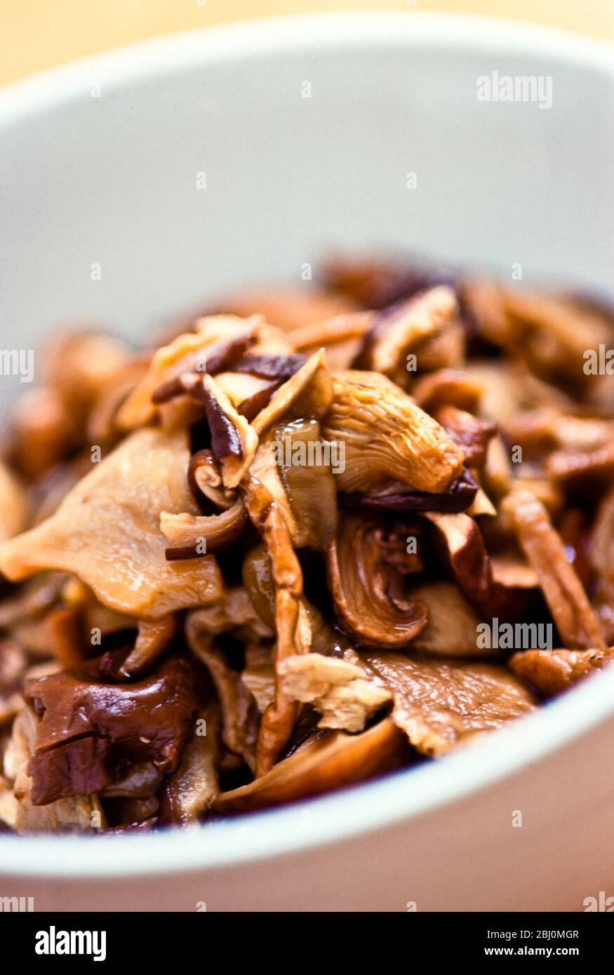 Selection of cooked wild and exotic mushrooms in bowl - Stock Photo