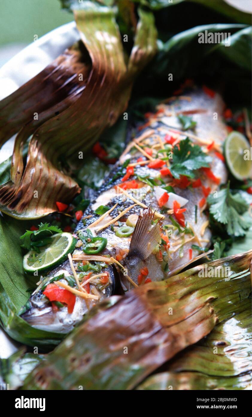 Large fresh bream on banana leaves, with red and green and chili pepper, with strips of ginger, and chopped coriander leaves, before being wrapped in Stock Photo