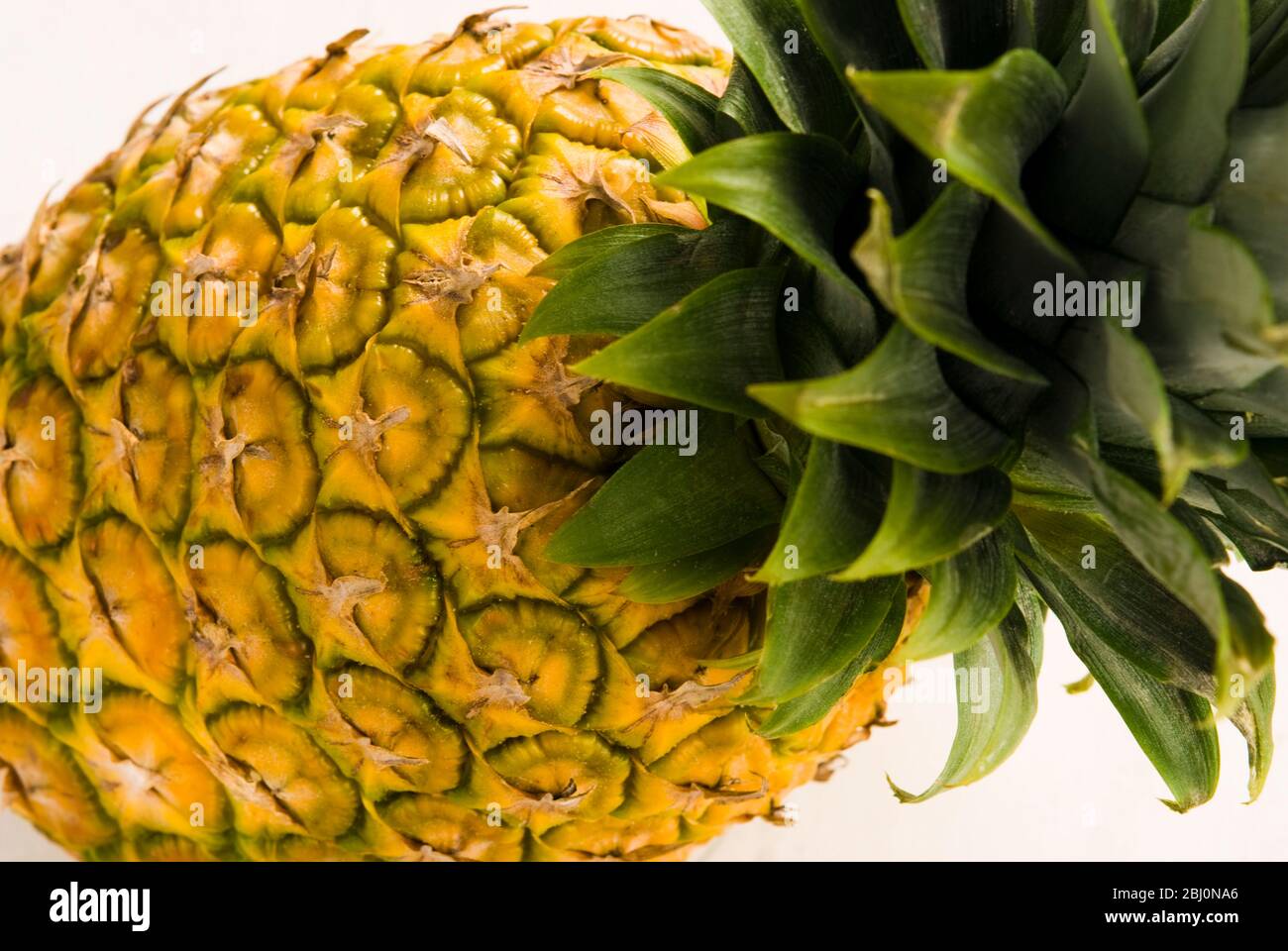 Whole fresh pineapple against white background - Stock Photo