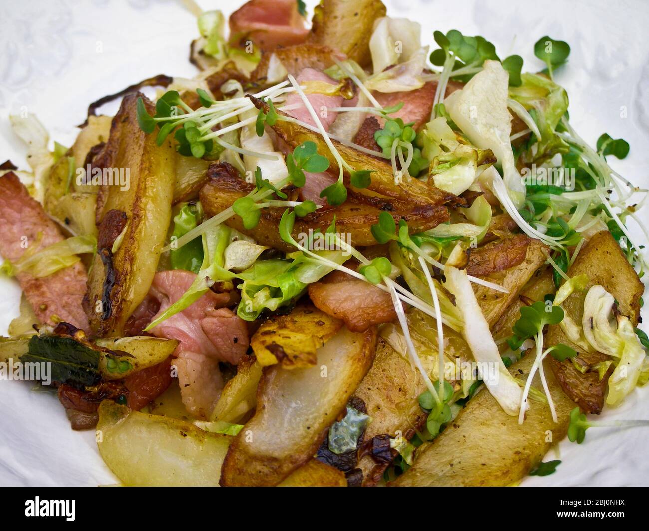 Lunch salad of bacon pieces, croutons, fried potatoes with freshly cut cress sprouts - Stock Photo