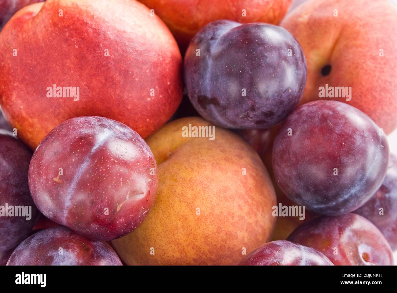 Massed plums, peaches, and nectarines - Stock Photo