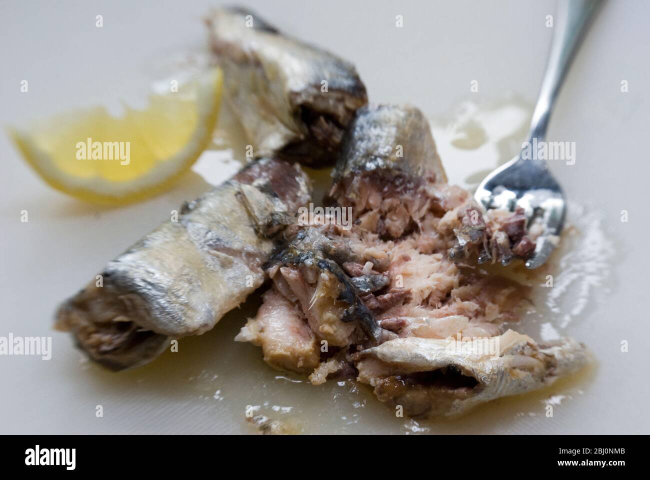 Sardines on white board with lemon wedge, mashed ready to make sardine pate. - Stock Photo