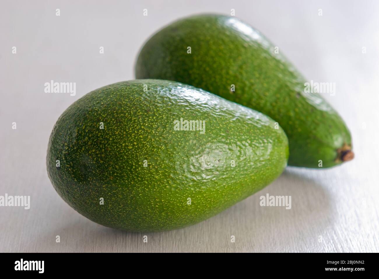 Two Fuerte variety avocadoes on white background surface - Stock Photo