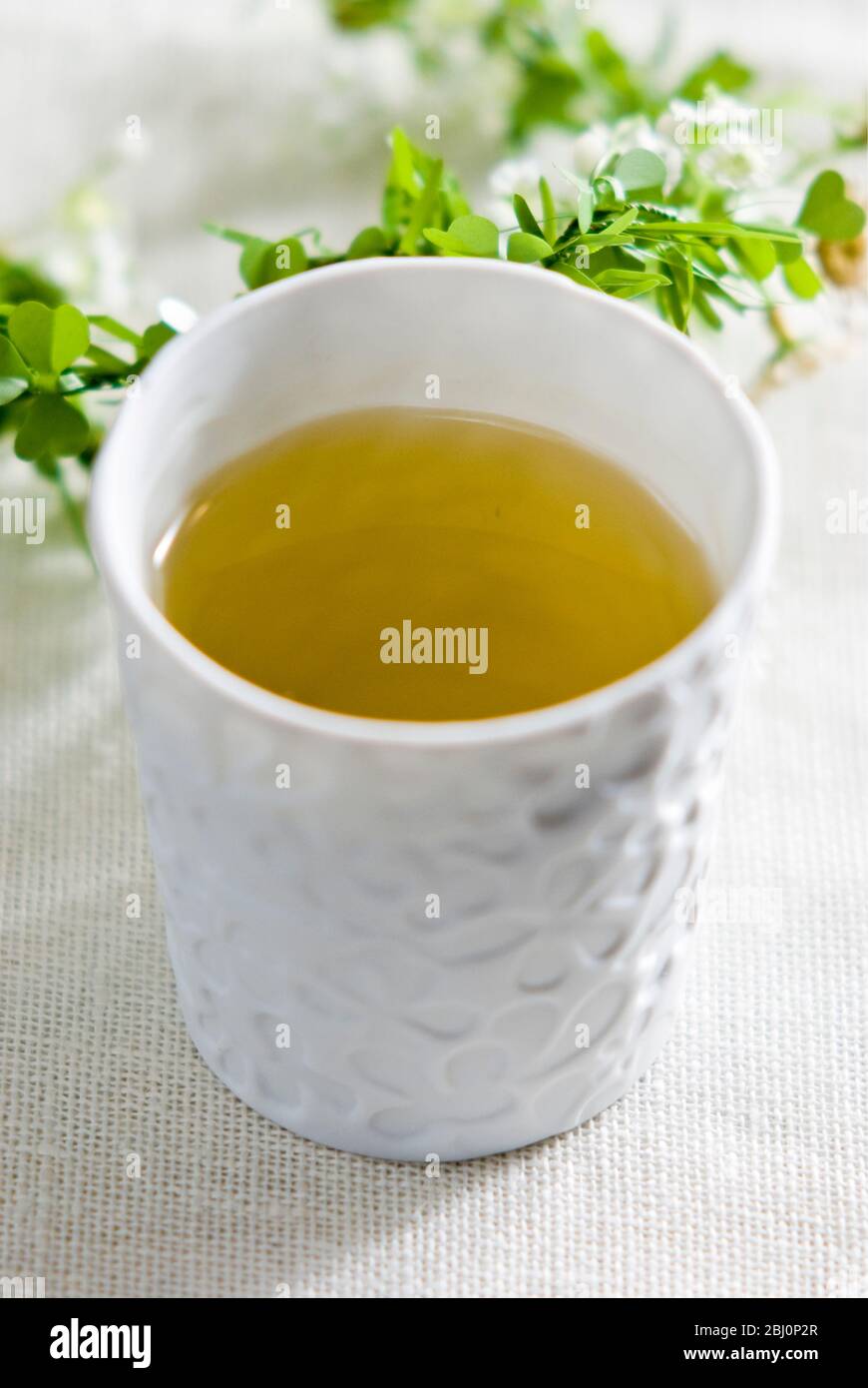 Small porcelain cup of chamomile herb tea - Stock Photo