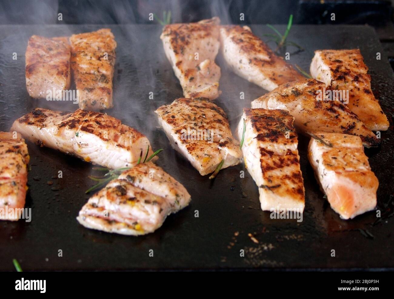 Pieces of salmon fillet being seared on hot griddle with olive oil and rosemary - Stock Photo