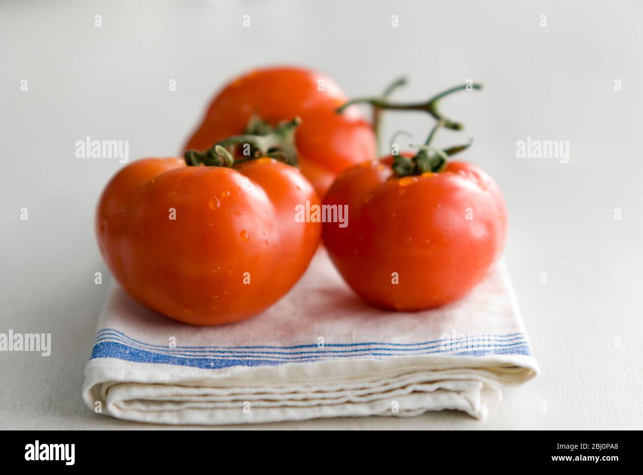 Three large beef tomatoes on folded laundered tea towel - Stock Photo