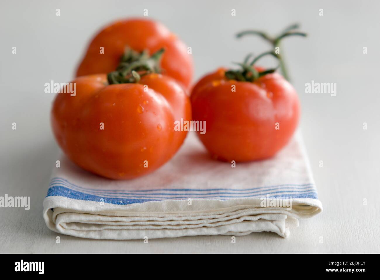 Three large beef tomatoes on folded laundered tea towel - Stock Photo