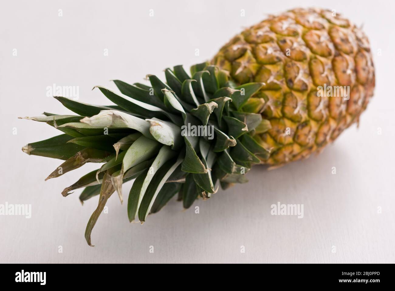 Fresh pineapple on white surface - Stock Photo