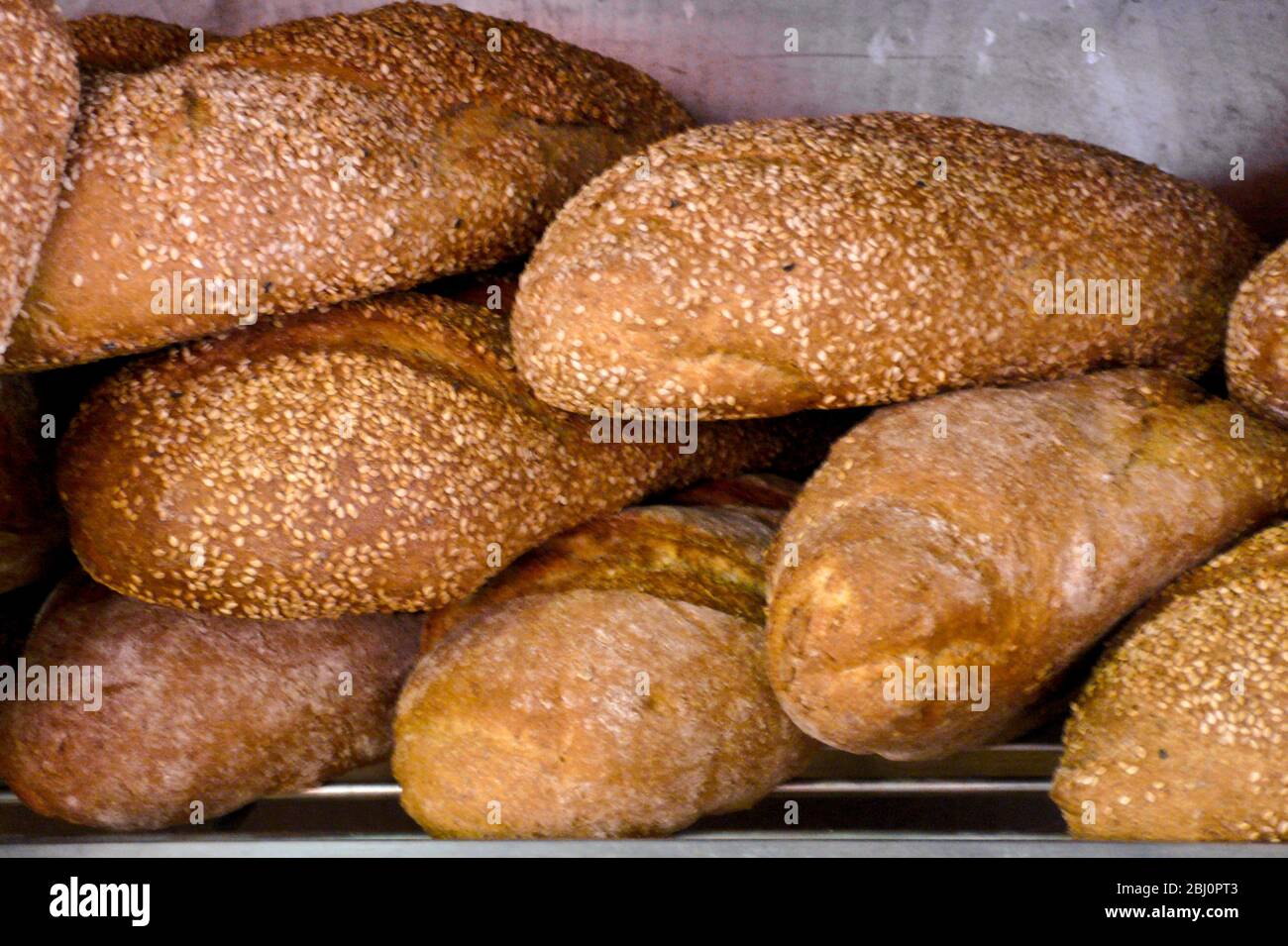 Rustic loaves on shelf in Greek Cypriot baker, Cyprus - Stock Photo