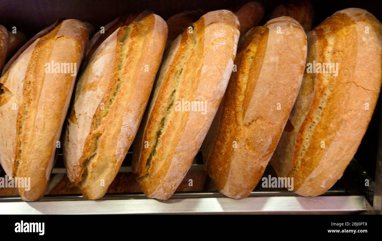 Rustic loaves on shelf in Greek Cypriot baker, Cyprus - Stock Photo
