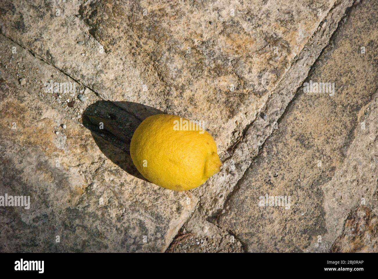 Single ripe yellow lemon lying on pavement, having fallen from lemon tree, Cyprus - Stock Photo