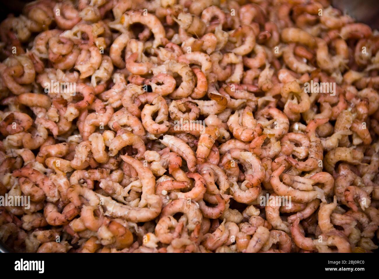 Shrimps on fresh fish stall in Whitecross Street market, London EC1 - Stock Photo