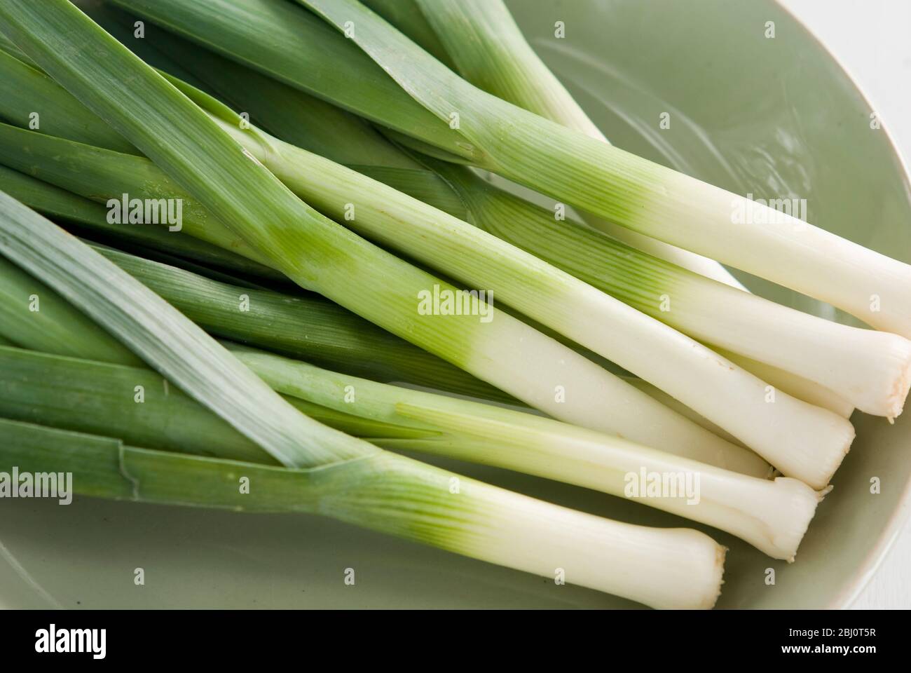 Fresh trimmed baby leeks on green plate - Stock Photo