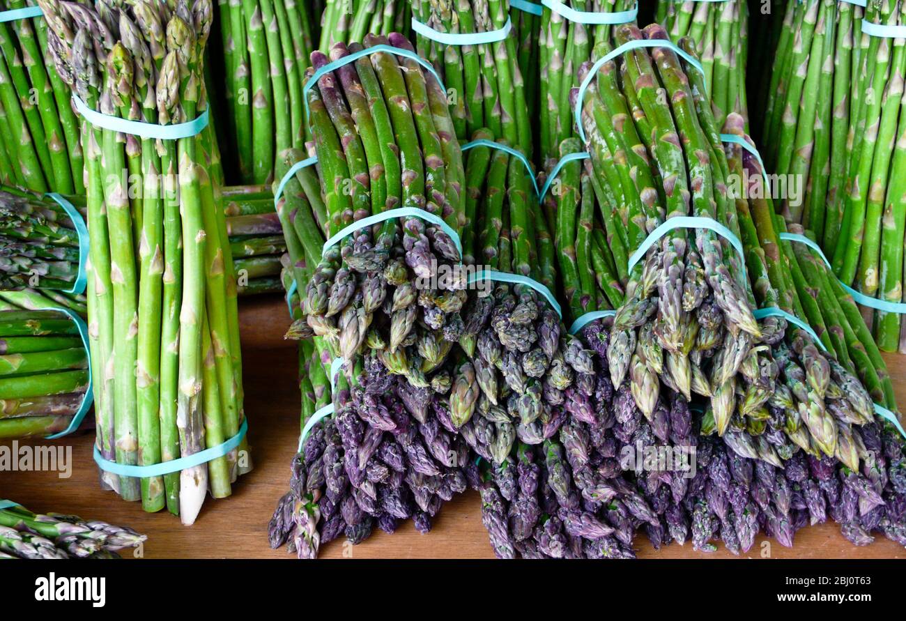 Freshly picked asparagus in bundles for sale on farm stall - Stock Photo