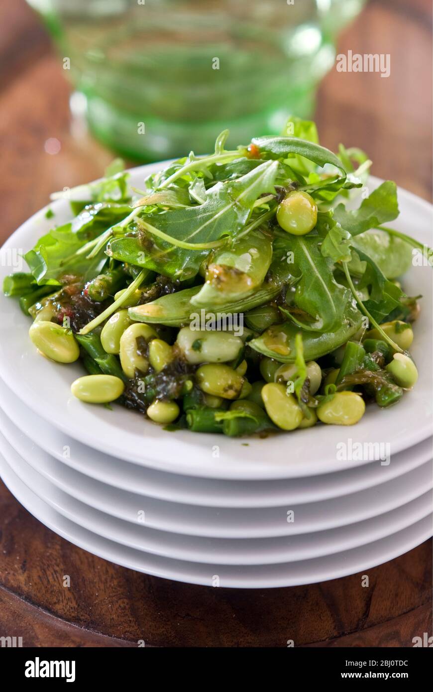 Mixed green bean salad with rocket, coriander and chilli - Stock Photo