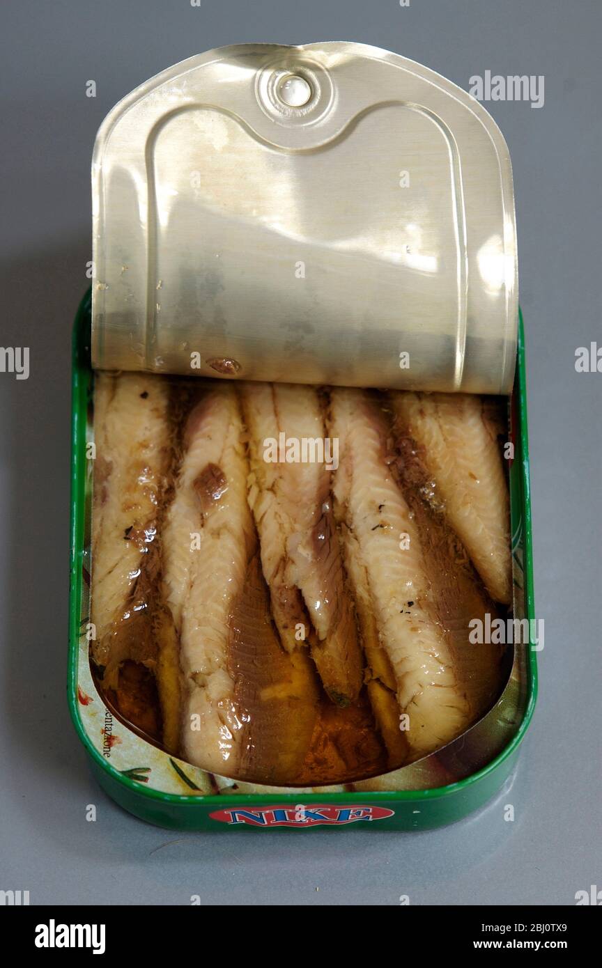 Can of sardine fillets opened showing tightly packed contents, in olive oil - Stock Photo