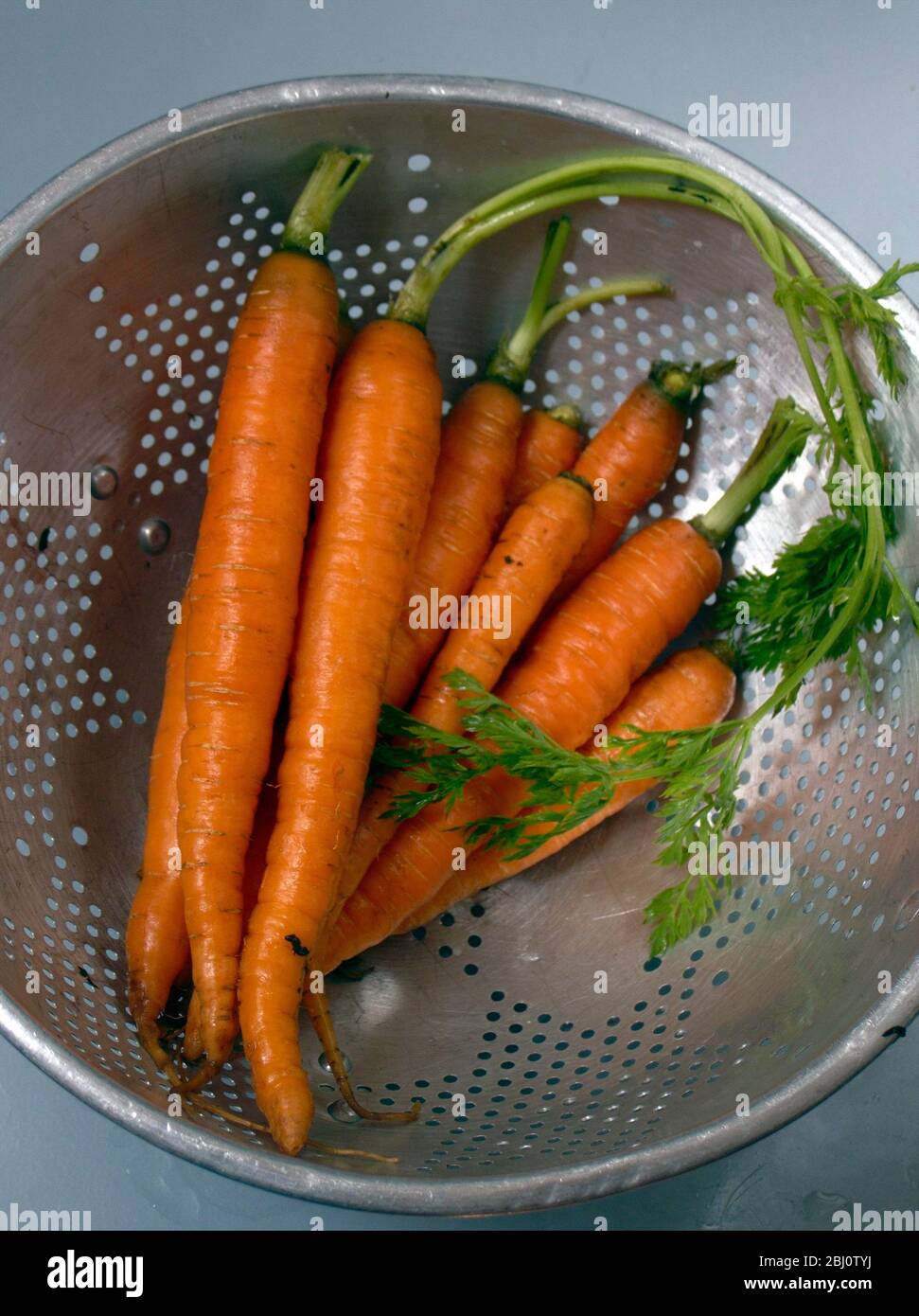Bunch of fresh young carrots with tops, draining in old aluminium colander - Stock Photo