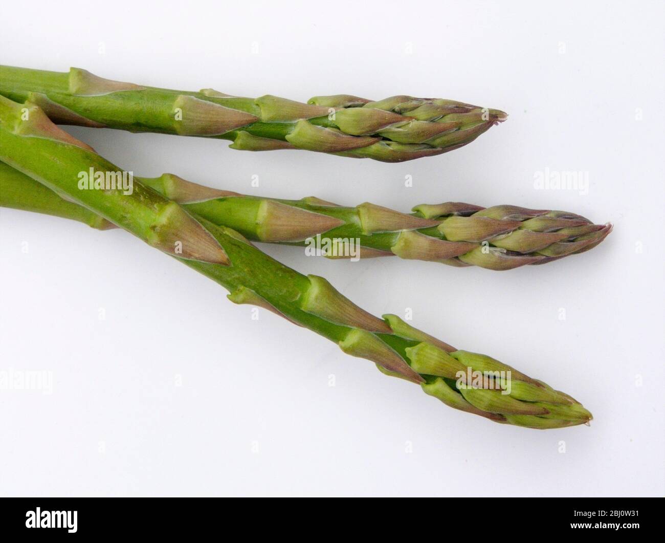 Three spears of freshly picked green asparagus, on white background - Stock Photo