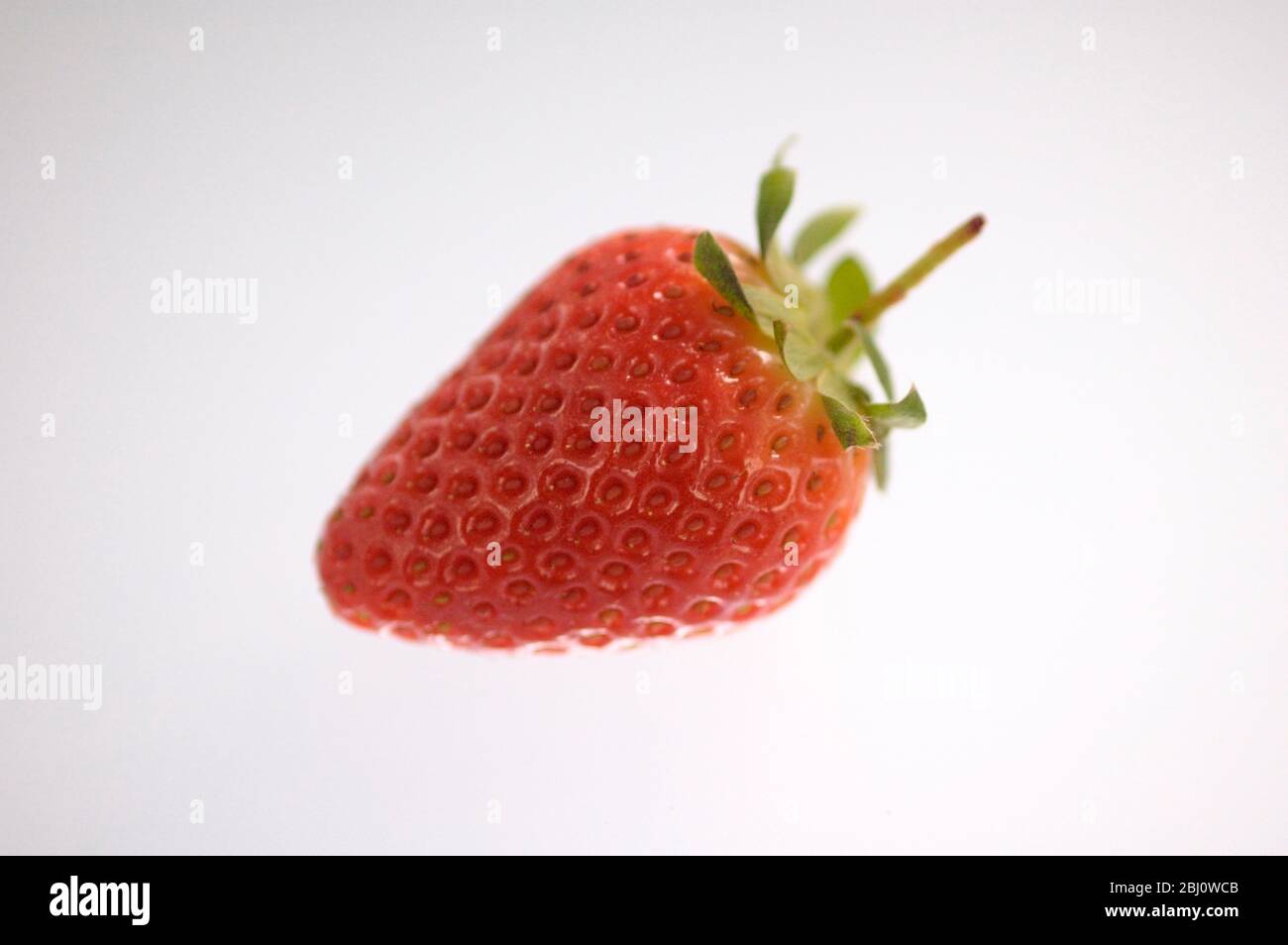 Single perfect red strawberry against white background - Stock Photo