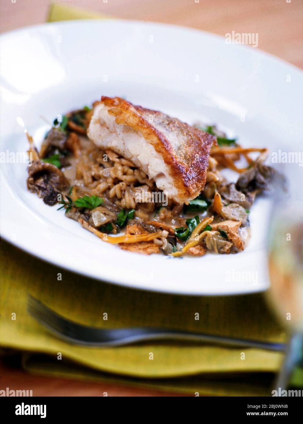 Pan fried fish on bed of wild mushroom risotto - Stock Photo