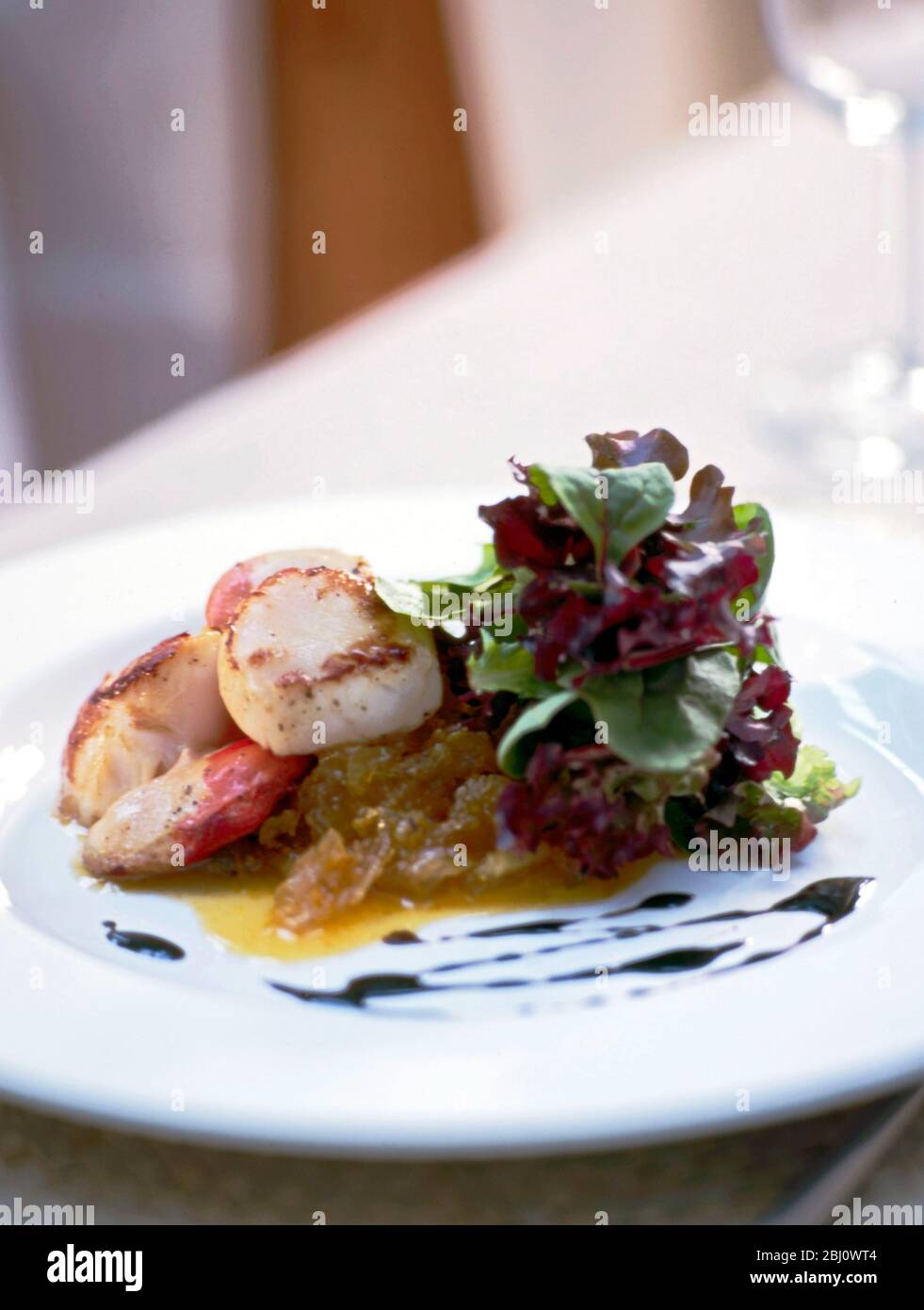 Seared scallops with mixed leaf salad - Stock Photo