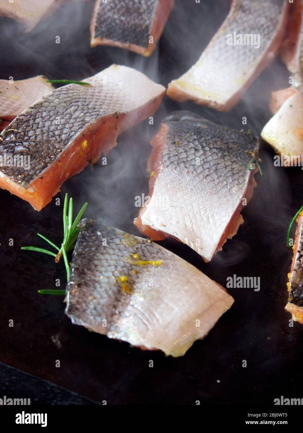Pieces of salmon fillet being seared on hot griddle witholive oil and rosemary - Stock Photo